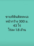 ขาย ที่ดินติดทะเล ผืนใหญ่ โฉนดเดียว 43 ไร่ หน้ากว้าง กว้างมาก 300 เมตร