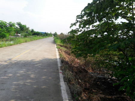 ขาย ที่ดิน ใกล้คลังบิ๊กซี คลองหก คลองหก 10 ไร่ 20 ตร.วา รูปที่ 1