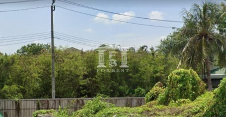 ขาย ที่ดิน รหัส 41092ในหมู่บ้าน Evergreen เอเวอร์กรีน กาญจนาภิเษก 185 ตร.วา ใกล้เดอะมอลล์บางแค รูปที่ 2