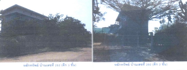 ขายที่ดินพร้อมสิ่งปลูกสร้าง  :    ย่านคลองสามวา กรุงเทพมหานคร (0801532451) รูปที่ 1