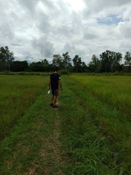 ขาย ที่ดิน ราคาถูก2แปลงติดกันต.ห้วยข้าวก่ำ อ.จุน จ.พะเยา 11 ไร่ 1 งาน 47 ตร.วา เจ้าของร้อนเงิน รูปที่ 2
