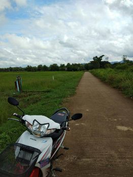 ขาย ที่ดิน ราคาถูก2แปลงติดกันต.ห้วยข้าวก่ำ อ.จุน จ.พะเยา 11 ไร่ 1 งาน 47 ตร.วา เจ้าของร้อนเงิน รูปที่ 5