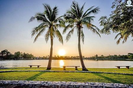 ขาย บ้านเดี่ยว ชลลดา วงแหวน-รัตนาธิเบศร์ 170 ตรม. 71 ตร.วา ใกล้สถานีรถไฟฟ้าสายสีม่วง สถานีคลองบางไผ่ รูปที่ 4