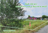 รูปย่อ ขาย ที่ดิน จัดสรร ชัยบาดาล ลพบุรี 100 ตร.วา น้ำ ไฟ เข้าถึง Land for SALE in Lopburi รูปที่4