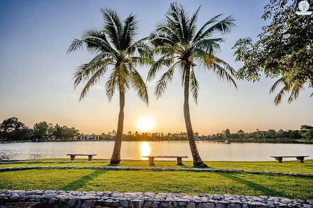 ขาย บ้านเดี่ยว ชลลดา วงแหวน-รัตนาธิเบศร์เฟส 5 หลังมุม 150 ตรม. 63 ตร.วา ใกล้สถานีรถไฟฟ้าสายสีม่วง สถานีคลองบางไผ่ รูปที่ 11