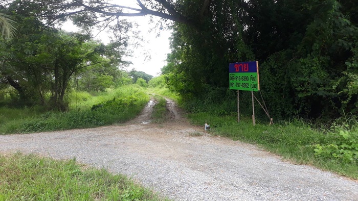 ขาย ที่ดินเปล่า 9ไร่ ท่าซัก ใกล้โรงพยาบาลนครินทร์ นครศรีธรรมราช รูปที่ 6