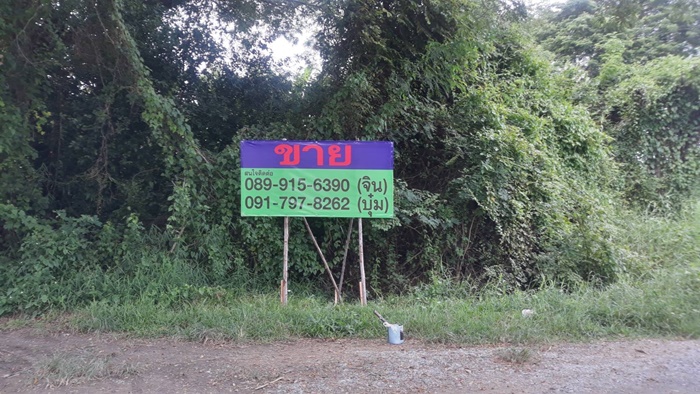 ขาย ที่ดินเปล่า 9ไร่ ท่าซัก ใกล้โรงพยาบาลนครินทร์ นครศรีธรรมราช รูปที่ 3