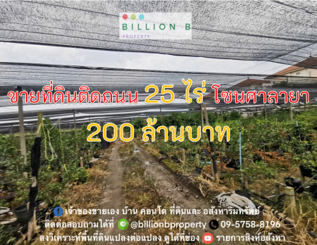 ขาย ที่ดิน เหมาะสำหรับ Wellness City  ติดถนนใหญ่ อยู่ไม่ไกลจากตัวเมืองศาลายา 25 ไร่ มีสิ่งอำนวยความสะดวกครบครัน รูปที่ 1