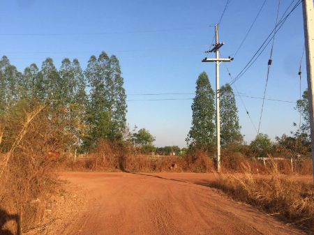 ขาย ที่ดิน ขายที่ดินจำนวน 6 ไร่ต.สามพร้าว อ.เมืองอุดรธานี 6 ไร่ พร้อมออกค่าโอนให้ทั้งหมด รูปที่ 1