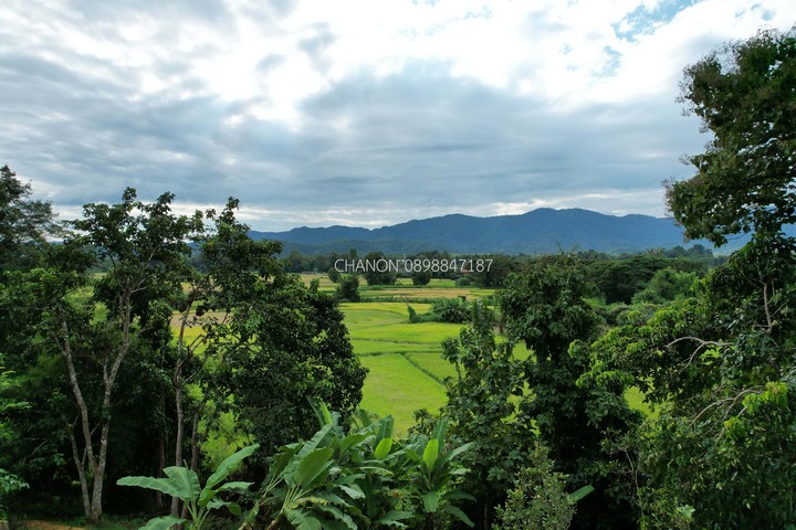 ที่ดินสำหรับปลูกสร้างที่พักอาศัย หรือทำสวนเกษตรผสมผสานวัยเกษียน  จ.น่าน รูปที่ 1