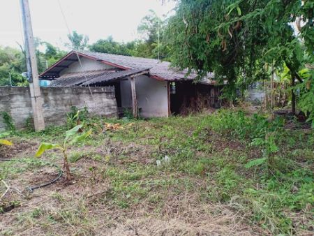 ขาย ที่ดิน เขตเทศบาลวังชมภู เมืองเพชรบูรณ์ 148 ตร.วา ต่อรองได้ พร้อมจบ รูปที่ 3