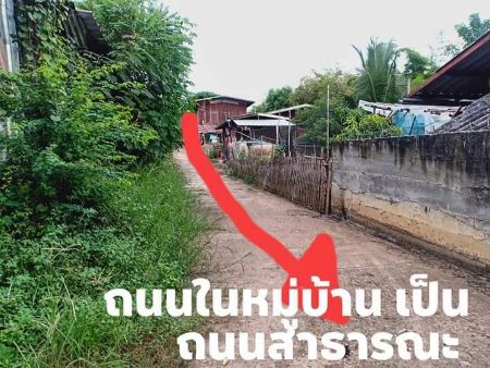 ขาย ที่ดิน เขตเทศบาลวังชมภู เมืองเพชรบูรณ์ 148 ตร.วา ต่อรองได้ พร้อมจบ รูปที่ 5
