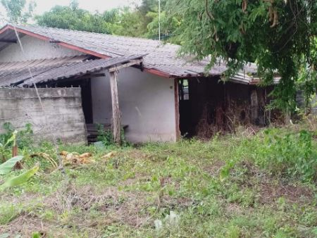 ขาย ที่ดิน เขตเทศบาลวังชมภู เมืองเพชรบูรณ์ 148 ตร.วา ต่อรองได้ พร้อมจบ รูปที่ 4