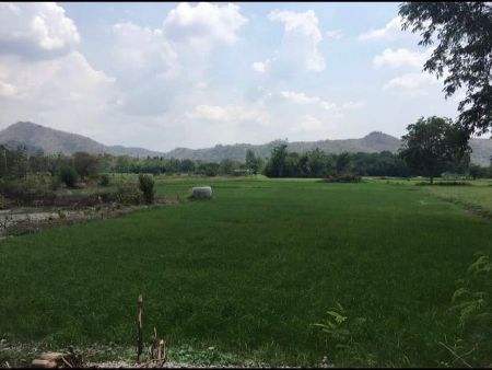 ขาย ที่ดิน วิวภูเขาต.ท่าคล้อ อ.แก่งคอย สระบุรี 5 ไร่ 1 งาน 12 ตร.วา ใกล้แม่น้ำป่าสัก รูปที่ 8