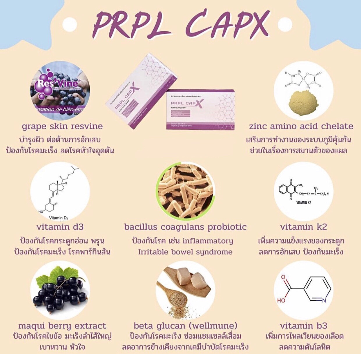 PRPL CAPX รูปที่ 7