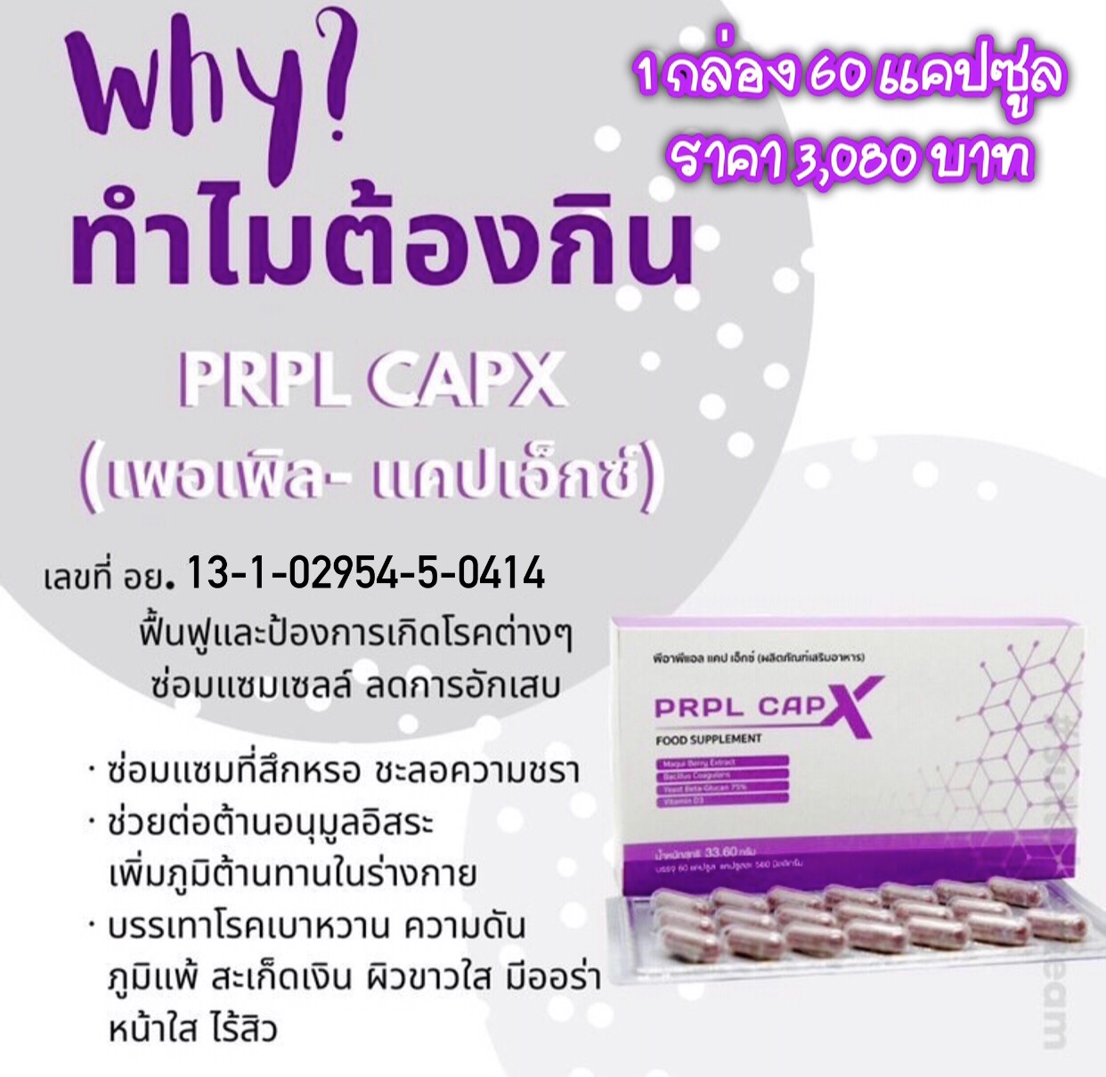 PRPL CAPX รูปที่ 4