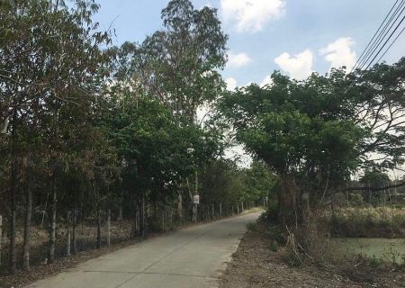 ขาย ที่ดิน วิวภูเขาต.ท่าคล้อ อ.แก่งคอย สระบุรี 5 ไร่ 1 งาน 12 ตร.วา ใกล้แม่น้ำป่าสัก รูปที่ 7