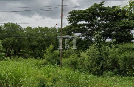 ขาย ที่ดิน รหัส41149 ติดถนนสระบุรีหล่มสัก 30 ไร่ ติดถนนใหญ่ รูปที่ 4