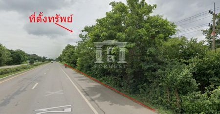 ขาย ที่ดิน รหัส41149 ติดถนนสระบุรีหล่มสัก 30 ไร่ ติดถนนใหญ่ รูปที่ 1