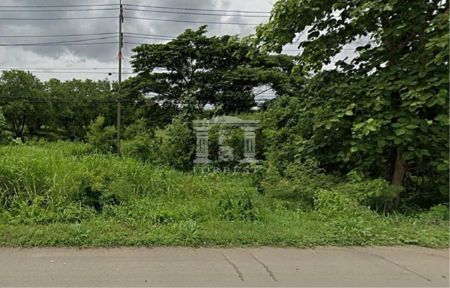 ขาย ที่ดิน รหัส41149 ติดถนนสระบุรีหล่มสัก 30 ไร่ ติดถนนใหญ่ รูปที่ 3