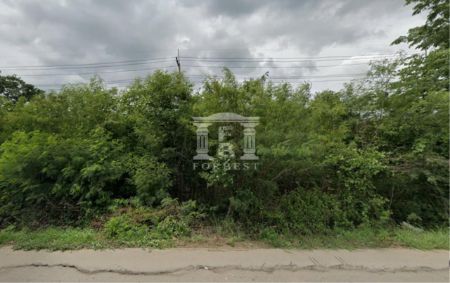 ขาย ที่ดิน รหัส41149 ติดถนนสระบุรีหล่มสัก 30 ไร่ ติดถนนใหญ่ รูปที่ 2