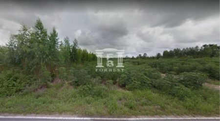 ขาย ที่ดิน รหัส 90179ใกล้นิคมฯ มาบตาพุด 20 ไร่ EEC บ้านฉาง ระยอง รูปที่ 6