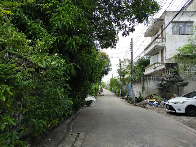 ขายที่ดินแถมบ้าน 41 ตรว. รูปที่ 5