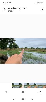 ขาย ที่ดิน แบ่งขาย2ไร่ต.หินมูล อ.บางเลน จ. นครปฐม 2 ไร่ ติดถนน2ด้าน รูปที่ 4