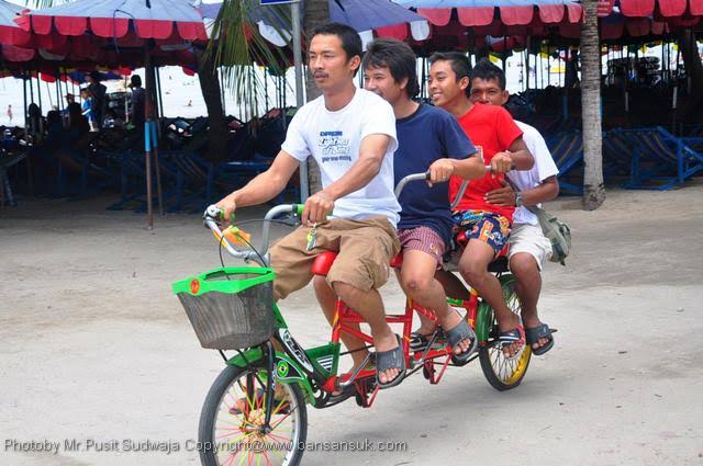 ขายจักรยานสองสามตอน ใช้ขี่ให้เช่าตามชายหาด บริการลูกค้าโรงแรม รีสอร์ท รูปที่ 7