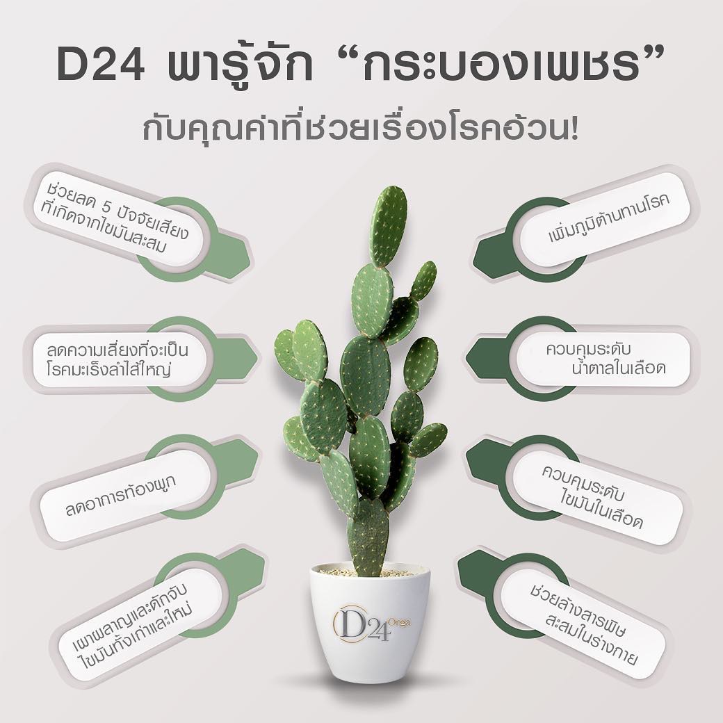 อาหารเสริมลดน้ำหนัก D24 รูปที่ 1