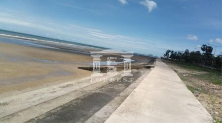 ขาย ที่ดิน รหัส90252ติดทะเลปราณบุรี 3 ไร่ 2 งาน 28.3 ตร.วา ใกล้หาดปราณบุรี รูปที่ 4