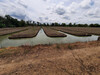 รูปย่อ ขายที่ดิน คลอง12 หนองเสือ ปทุมธานี ราคาหลักแสน  ตรว.ละ 1,000 รูปที่7