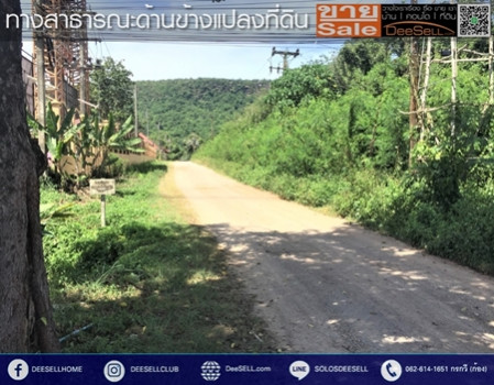 ขายที่ดินชุมพร ข้างร้านคุณสาหร่าย ติดถนนเพชรเกษม แปลงหัวมุม 30 ไร่ 2 งาน 18 ตร.วา ทำเลดี รูปที่ 11