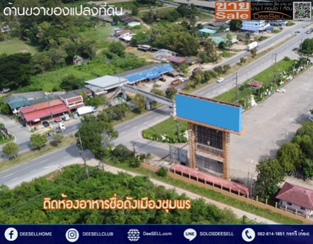 ขายที่ดินชุมพร ข้างร้านคุณสาหร่าย ติดถนนเพชรเกษม แปลงหัวมุม 30 ไร่ 2 งาน 18 ตร.วา ทำเลดี รูปที่ 9