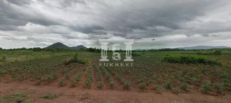 ขาย ที่ดิน รหัส 90258 บ้านบึง ชลบุรี 47 ไร่ 1 งาน 52 ตร.วา พื้นที่ EEC ชลบุรี รูปที่ 2
