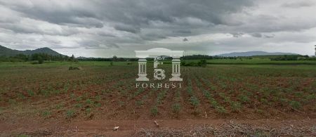 ขาย ที่ดิน รหัส 90258 บ้านบึง ชลบุรี 47 ไร่ 1 งาน 52 ตร.วา พื้นที่ EEC ชลบุรี รูปที่ 6