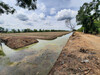 รูปย่อ ขายที่ดิน คลอง12 หนองเสือ ปทุมธานี ราคาหลักแสน  ตรว.ละ 1,000 รูปที่3