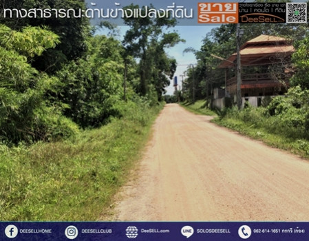 ขายที่ดินชุมพร ข้างร้านคุณสาหร่าย ติดถนนเพชรเกษม แปลงหัวมุม 30 ไร่ 2 งาน 18 ตร.วา ทำเลดี รูปที่ 10