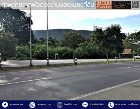 ขายที่ดินชุมพร ข้างร้านคุณสาหร่าย ติดถนนเพชรเกษม แปลงหัวมุม 30 ไร่ 2 งาน 18 ตร.วา ทำเลดี รูปที่ 6