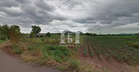 ขาย ที่ดิน รหัส 90258 บ้านบึง ชลบุรี 47 ไร่ 1 งาน 52 ตร.วา พื้นที่ EEC ชลบุรี รูปที่ 4