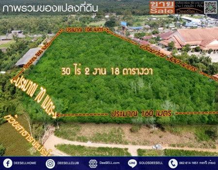 ขายที่ดินชุมพร ข้างร้านคุณสาหร่าย ติดถนนเพชรเกษม แปลงหัวมุม 30 ไร่ 2 งาน 18 ตร.วา ทำเลดี รูปที่ 7