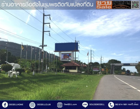 ขายที่ดินชุมพร ข้างร้านคุณสาหร่าย ติดถนนเพชรเกษม แปลงหัวมุม 30 ไร่ 2 งาน 18 ตร.วา ทำเลดี รูปที่ 3