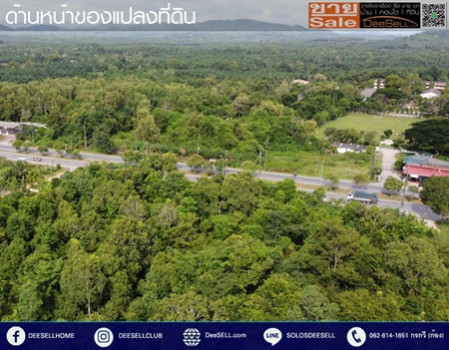 ขายที่ดินชุมพร ข้างร้านคุณสาหร่าย ติดถนนเพชรเกษม แปลงหัวมุม 30 ไร่ 2 งาน 18 ตร.วา ทำเลดี รูปที่ 8