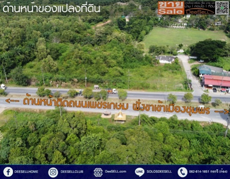 ขายที่ดินชุมพร ข้างร้านคุณสาหร่าย ติดถนนเพชรเกษม แปลงหัวมุม 30 ไร่ 2 งาน 18 ตร.วา ทำเลดี รูปที่ 2