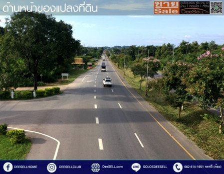 ขายที่ดินชุมพร ข้างร้านคุณสาหร่าย ติดถนนเพชรเกษม แปลงหัวมุม 30 ไร่ 2 งาน 18 ตร.วา ทำเลดี รูปที่ 5
