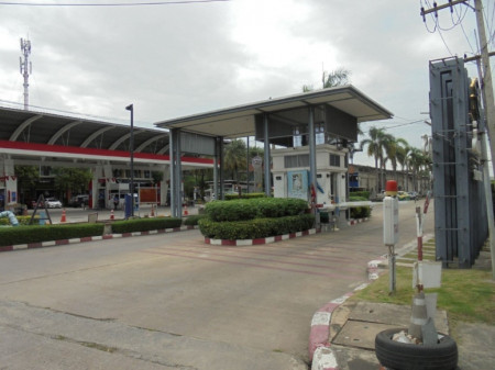 ขาย บ้านเดี่ยว หน้าบ้านติดสวน ตกแต่งพร้อมอยู่ เฟอร์ฯบิวท์อิน สัมมากรรังสิต 180 ตรม. 85 ตร.วา ติดถนนเมน  หน้าบ้านไม่ชนใคร รูปที่ 4
