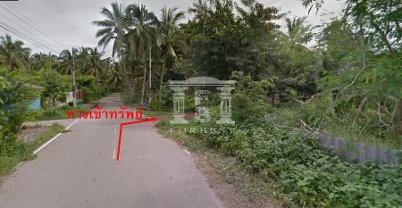 ขาย ที่ดิน รหัส 41340 ต.บางขันแตก, สมุทรสงคราม 2 ไร่ 1 งาน 72 ตร.วา ที่สวย ทำเลดี. รูปที่ 6