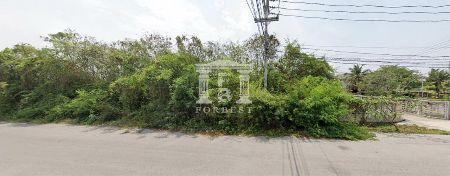 ขาย ที่ดิน รหัส 41342  ใกล้วังไกลกังวล หัวหิน ประจวบคีรีขันธ์ 2 ไร่ 0 งาน 80 ตร.วา ถนนหน้าที่กว้าง 16 เมตร รูปที่ 2