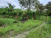 รูปย่อ ขายที่ดินพร้อมบ้านพื้นที่สีม่วง คลองเก้า ลำลูกกา ปทุมธานี รูปที่5
