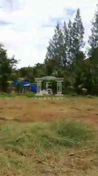 ขาย ที่ดิน รหัส 41341  บางขันแตก, สมุทรสงคราม 2 ไร่ 1 งาน 72 ตร.วา ที่สวย ทำเลดี รูปที่ 3